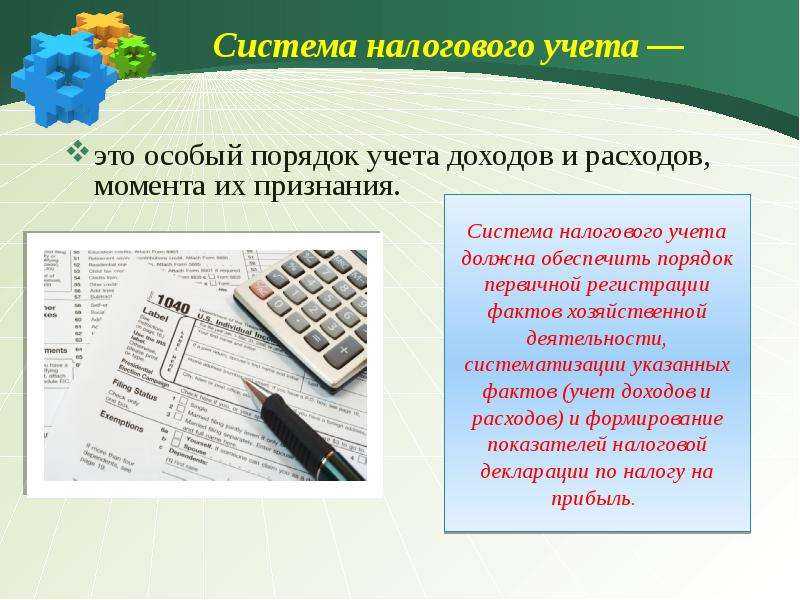 Какие налоги платит индивидуальный предприниматель в польше?