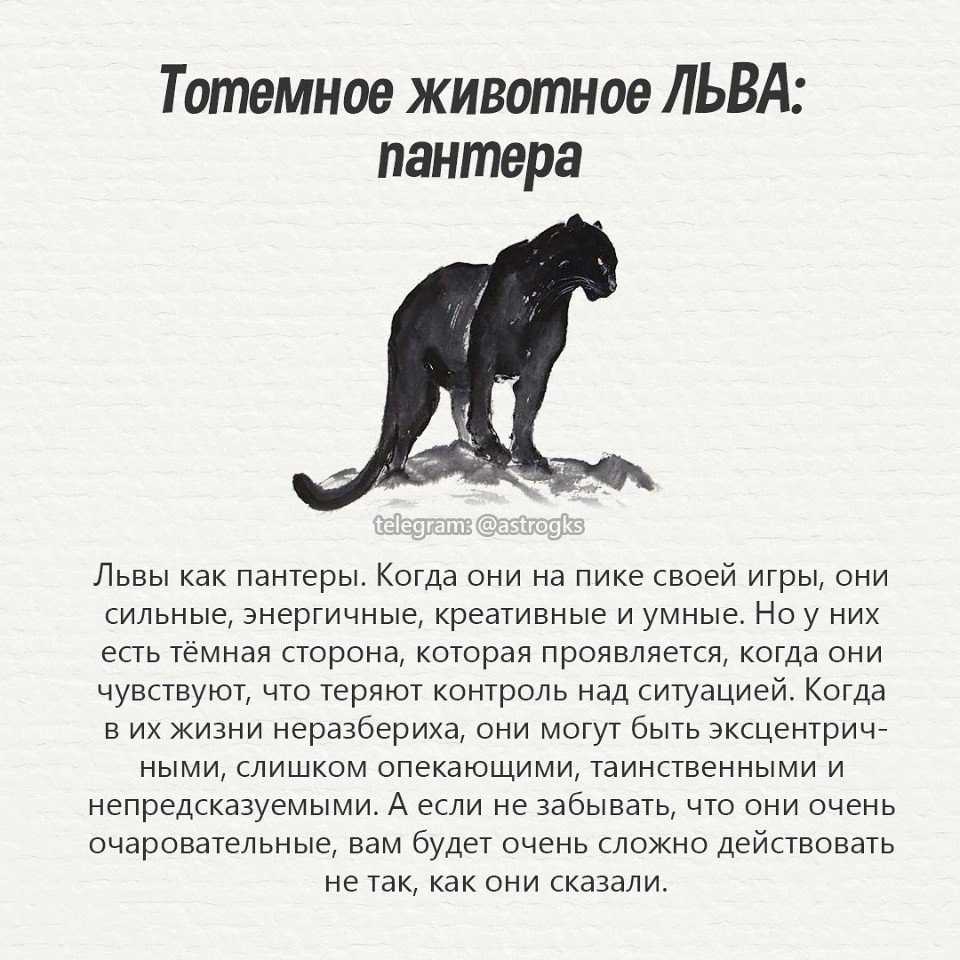 Народные приметы на 17 августа 2022 года: какой сегодня церковный праздник, что можно и чего нельзя делать в этот день. приметы и поверья на 17 августа 2022 года, в день авдотьи малиновки
