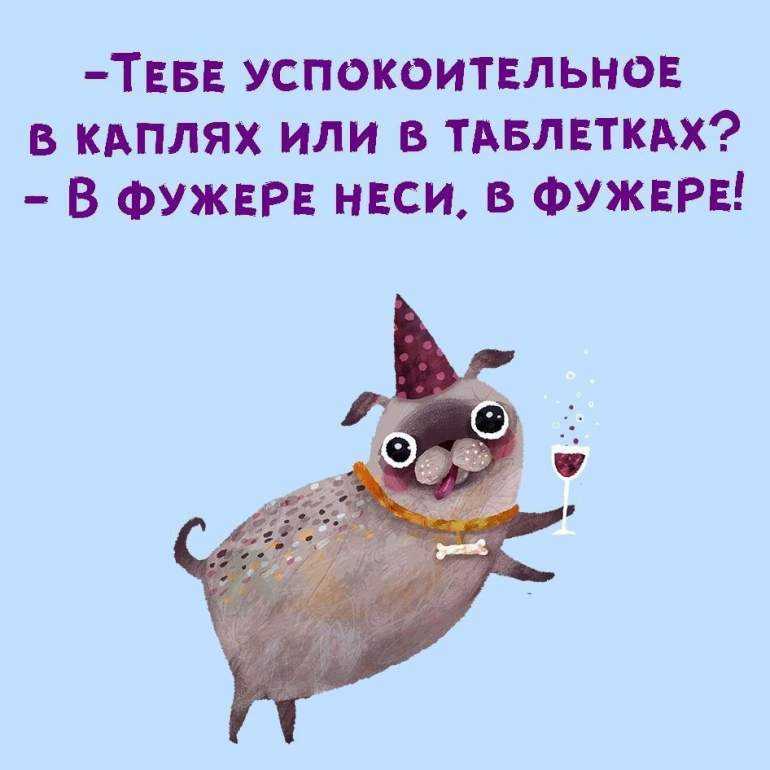 Ситуативные юмористические гороскопы. астрологический юмор. вся подноготная о знаках зодиака. забавные, смешные и прикольные гороскопы для всех!