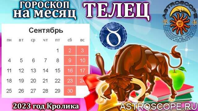Телец: любовный гороскоп на ноябрь 2023