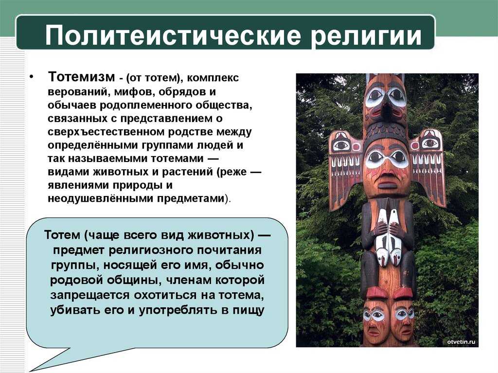 Год паука              | expressotvet.ru
