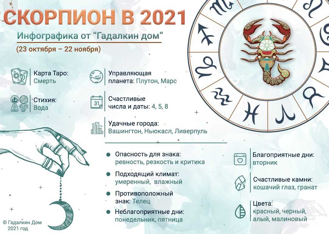 Таро гороскоп на 2021 год для знака зодиака скорпион (12 домов гороскопа) | мой прекрасный дом