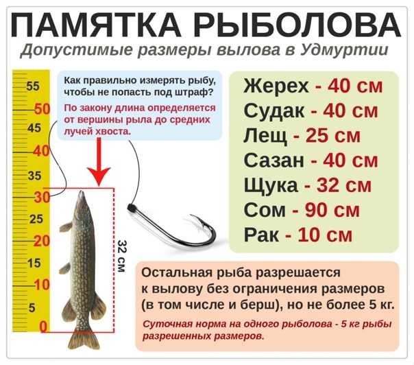 Законы о рыбалке в других странах по сравнению с нашими