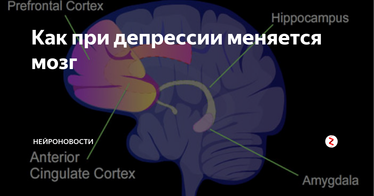Гороскоп на завтра для рака