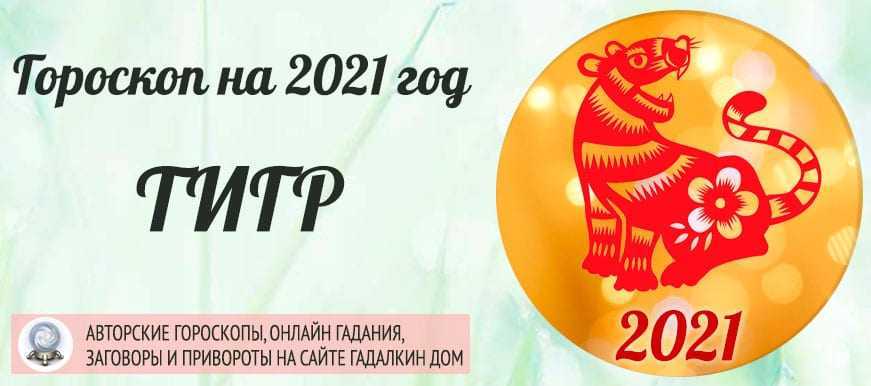 Китайский гороскоп 2024: тигр