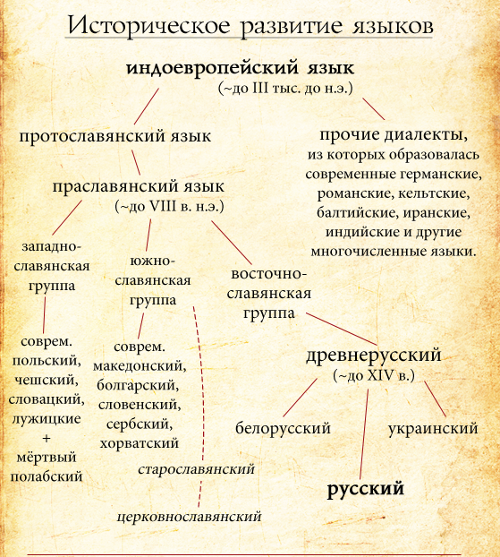 На каких языках говорят жители турции в 2020 году