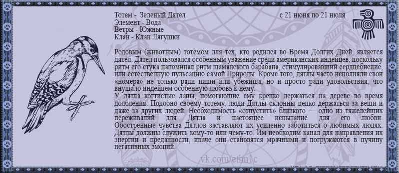 Журавль-красавка | мир животных и растений