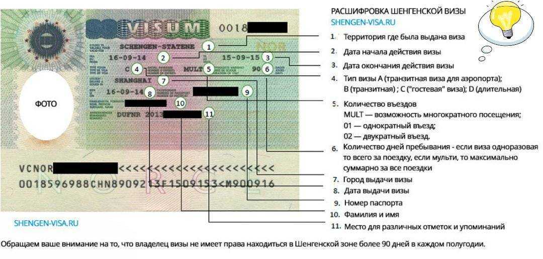 Фото на шенгенскую визу: правила и требования | блог о приключениях ксюши и славы наймушиных