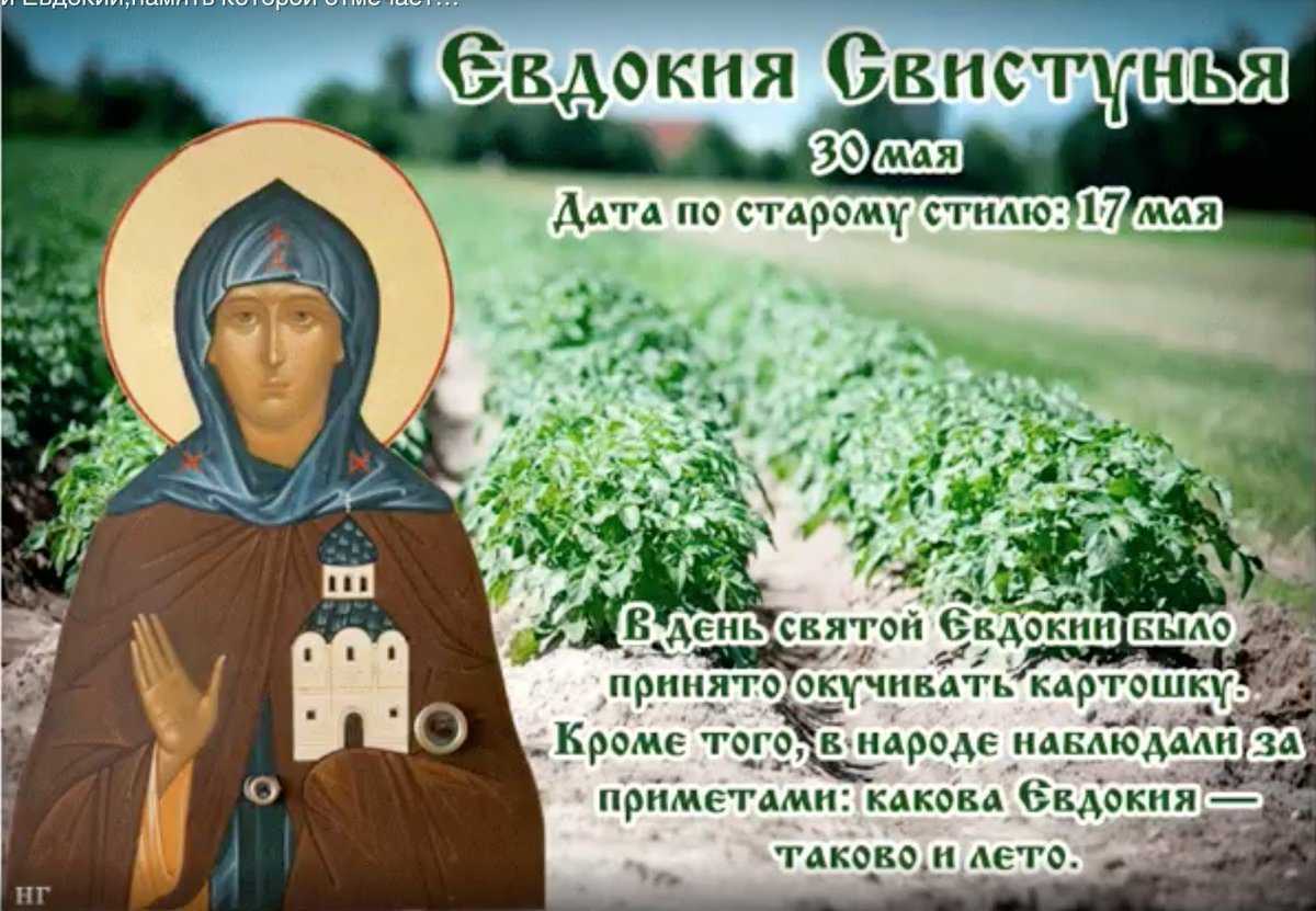 Известные личности, у которых день рождения 4 января