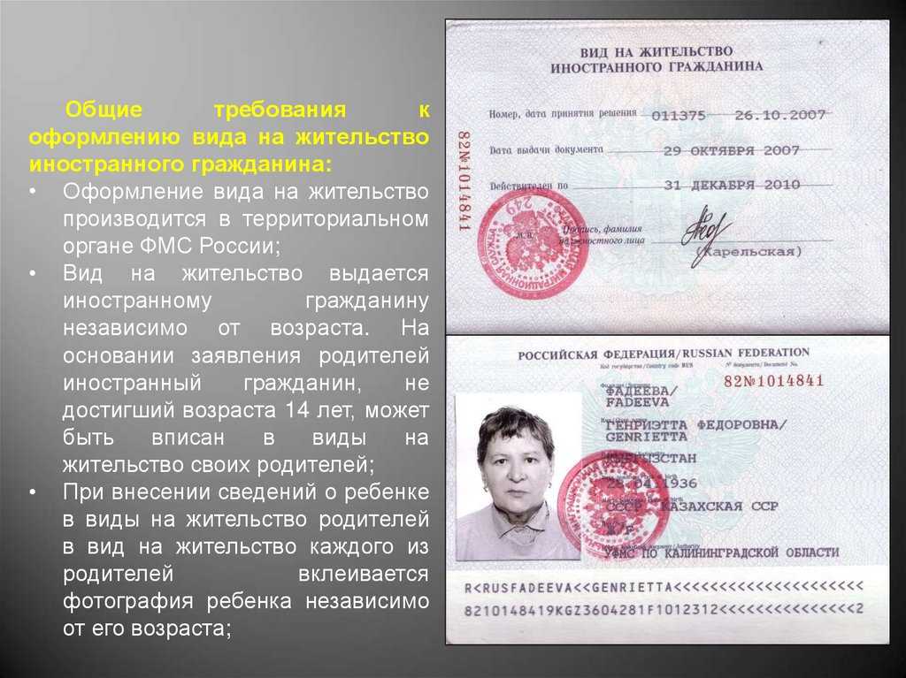 Бизнес-иммиграция в германию в 2023 году: виза, внж, пмж