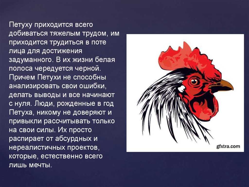 2022 год для петуха - прекрасное время для реализации