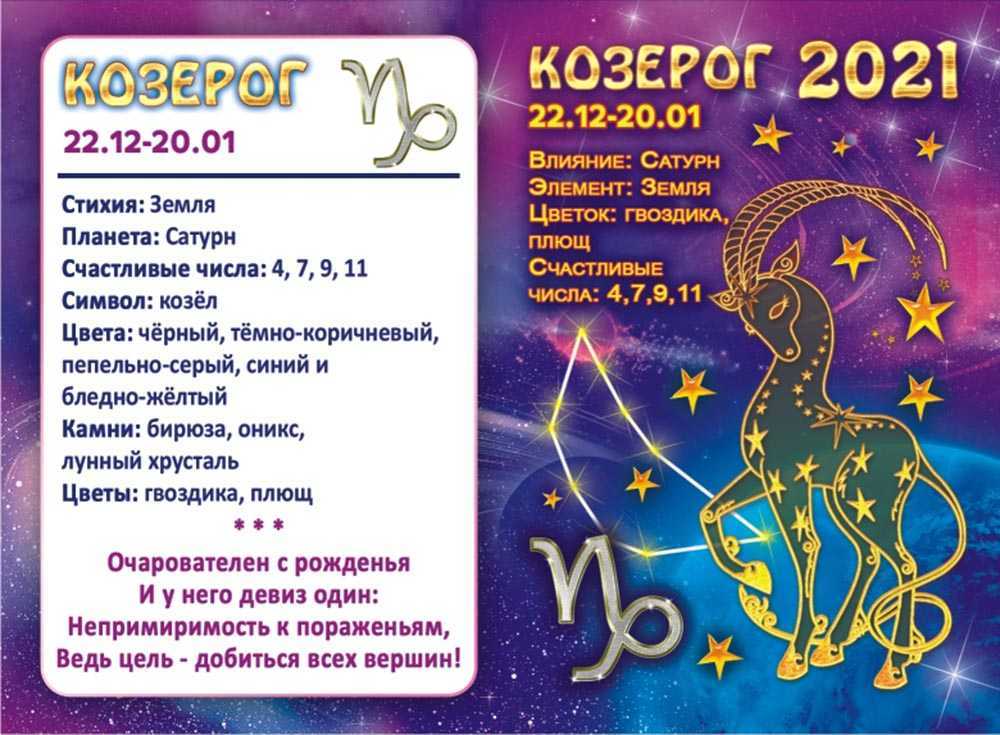 Гороскоп на февраль 2019 года для всех знаков зодиака - новый 2021 год - год белого металлического быка