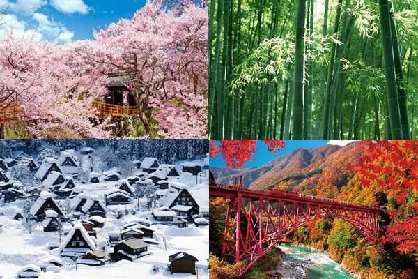 Климат в японии по месяцам: климат и погода в японии по месяцам. когда лучше всего посетить японию?