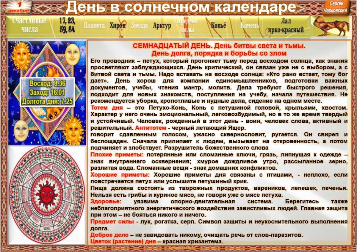 Желна (черный дятел) — фото, видео и описание, где обитает и чем питается
