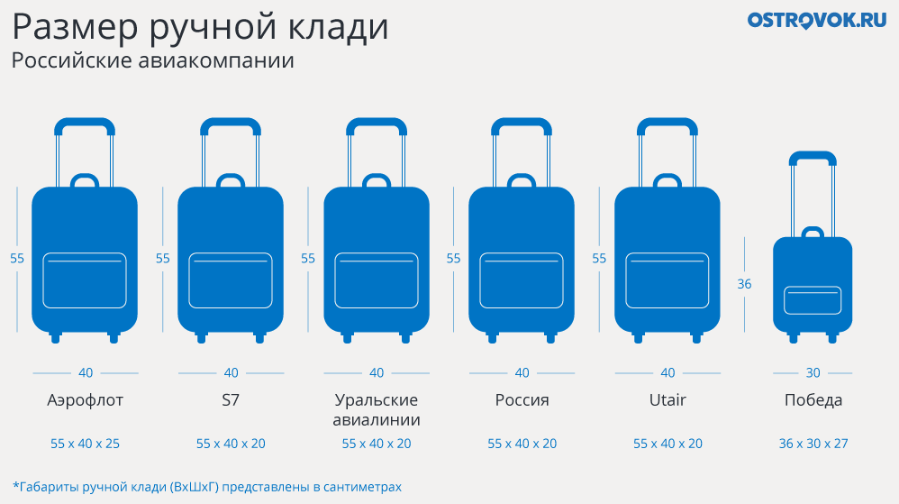 S7 - правила провоза багажа, ручной клади и перевозки животных в самолете