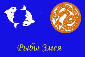 Рыбы-змея: характеристика мужчины и женщины