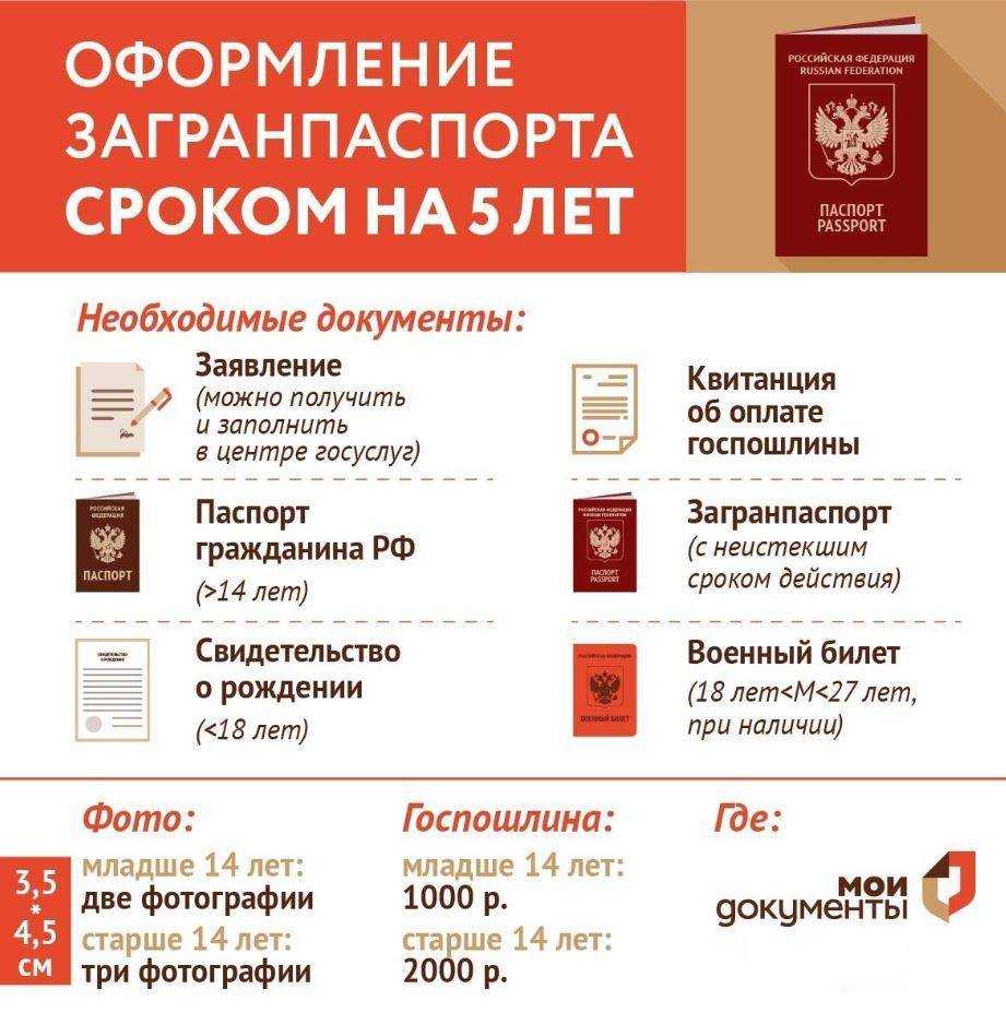 Оформляем загранпаспорт самостоятельно: требования к фото для нового и старого образца