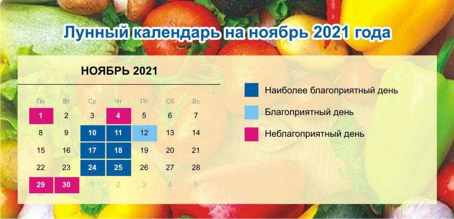 Какой сегодня праздник: 28 ноября 2021 года