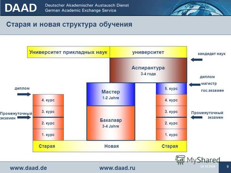 Система образования в германии