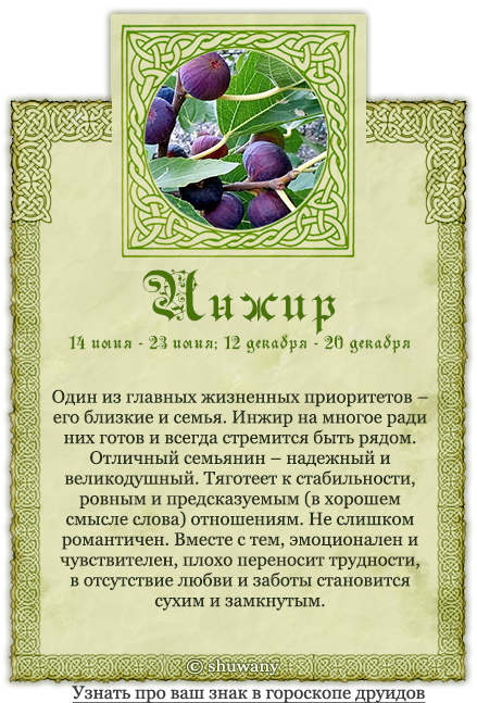 Узнай, какой ты цветочек по дате рождения | thegirl