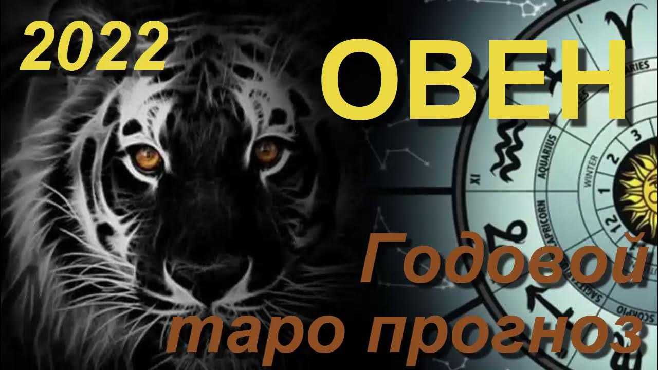 Гороскоп для девы на 2022 год тигра