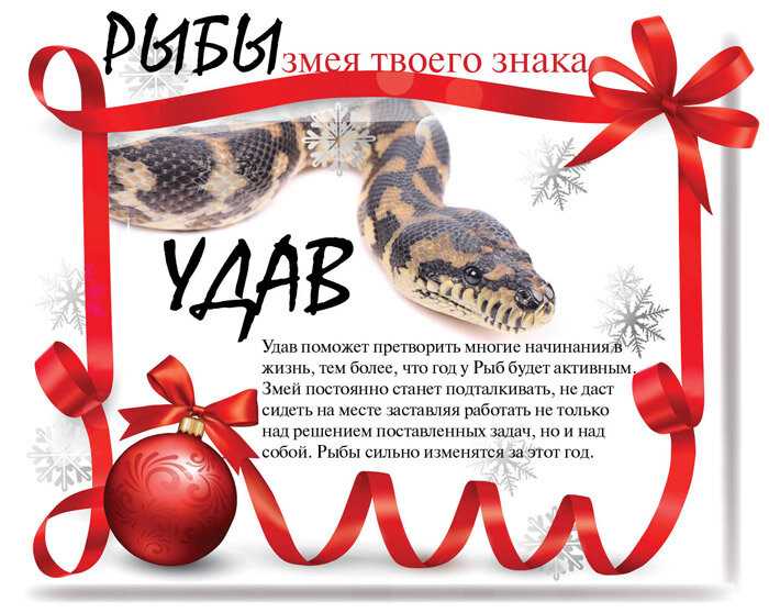 Рыбы знак зодиака