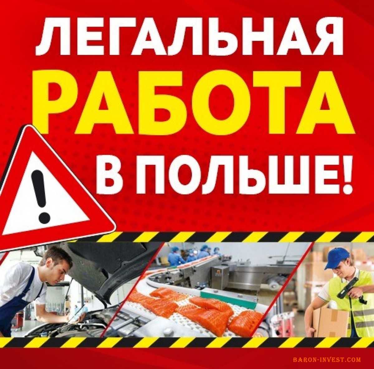 Работа в польше: где найти, как устроиться и сколько можно заработать?