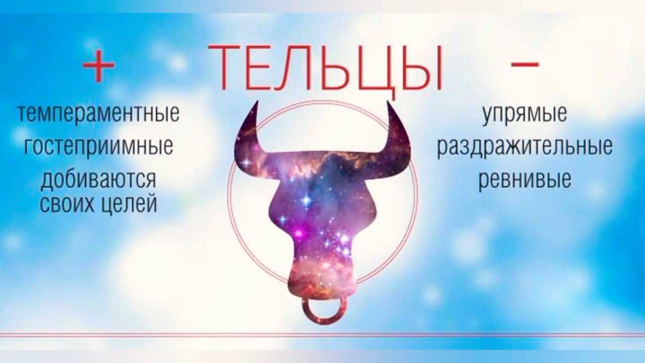 Ребенок-телец и как его воспитать: полезные рекомендации для любящих родителей