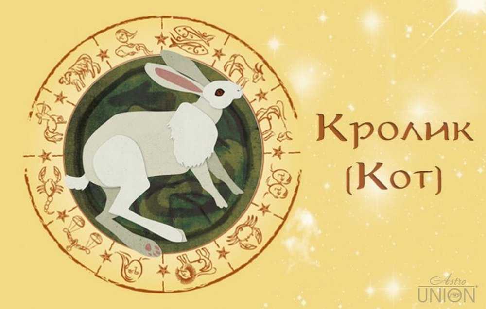 Год огненного кролика ( кота ) ключевые черты китайского зодиака