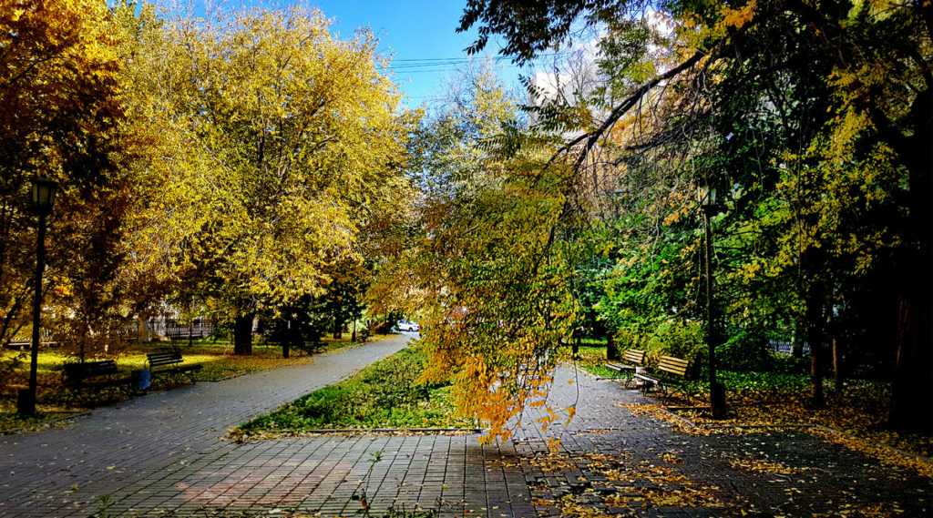 9 солнечный день характеристика. девятый солнечный день
