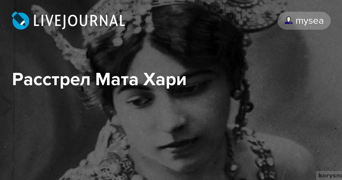 Разведчица елизавета зарубина. ищите женщину. елизавета юльевна зарубина.