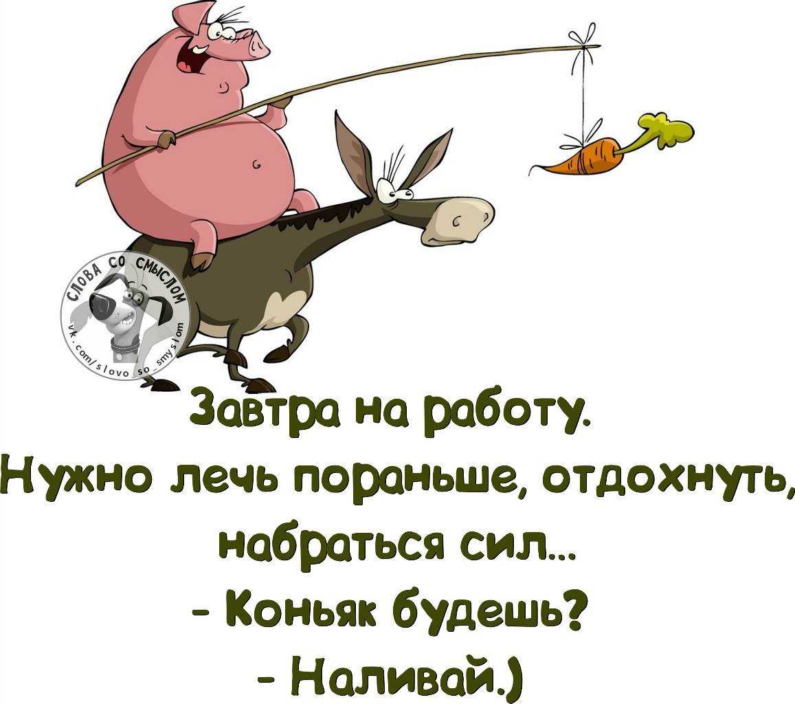 Вот самый смешной и брутальный гороскоп для всех 12 знаков зодиака