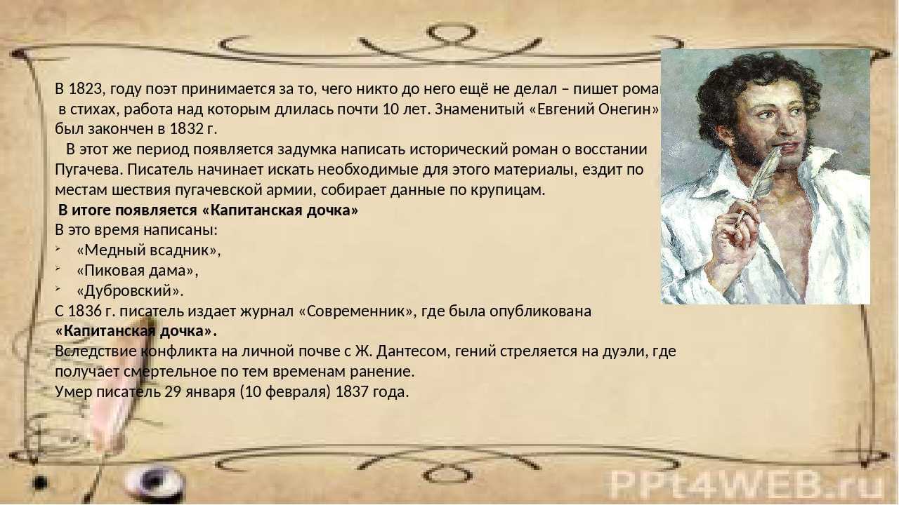 Coty (компания)