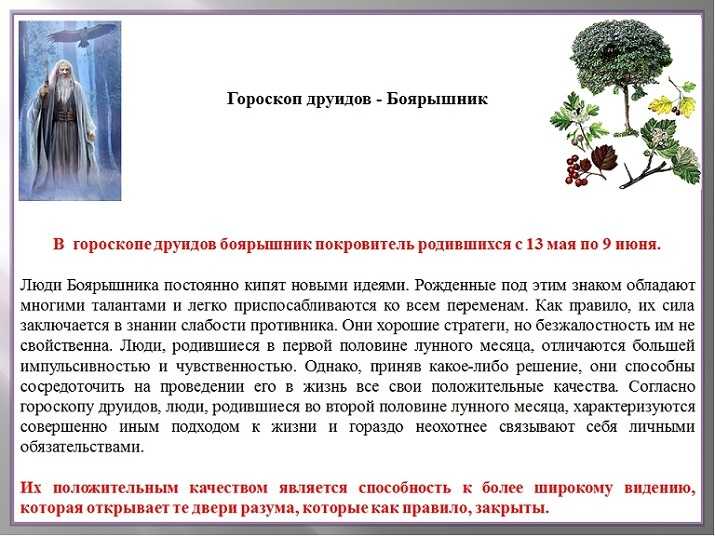 Дерево по дате рождения